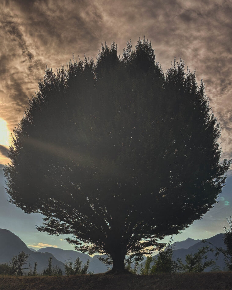 262 AC410 E335 428 F B436 07 E084 AE09 C5